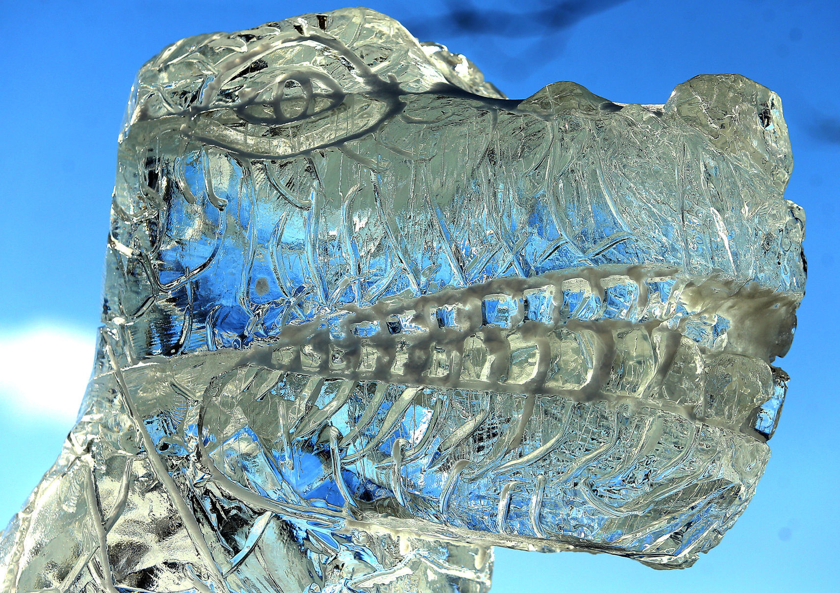 012019-qct-qca-ice-003